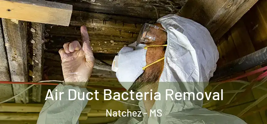  Air Duct Bacteria Removal Natchez - MS