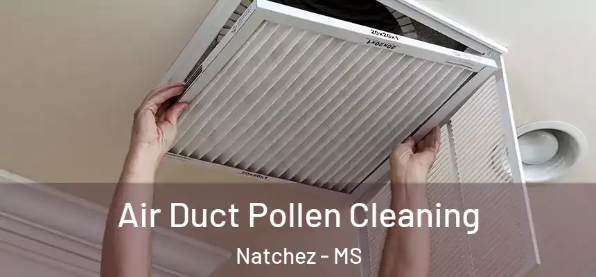  Air Duct Pollen Cleaning Natchez - MS