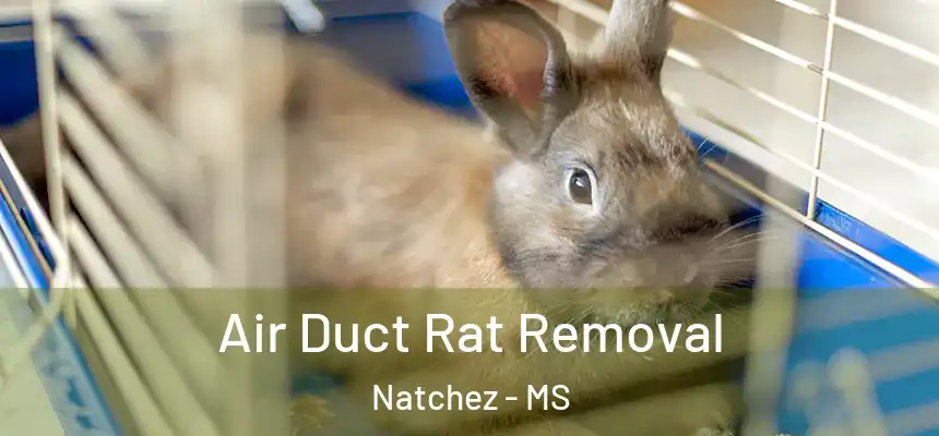  Air Duct Rat Removal Natchez - MS