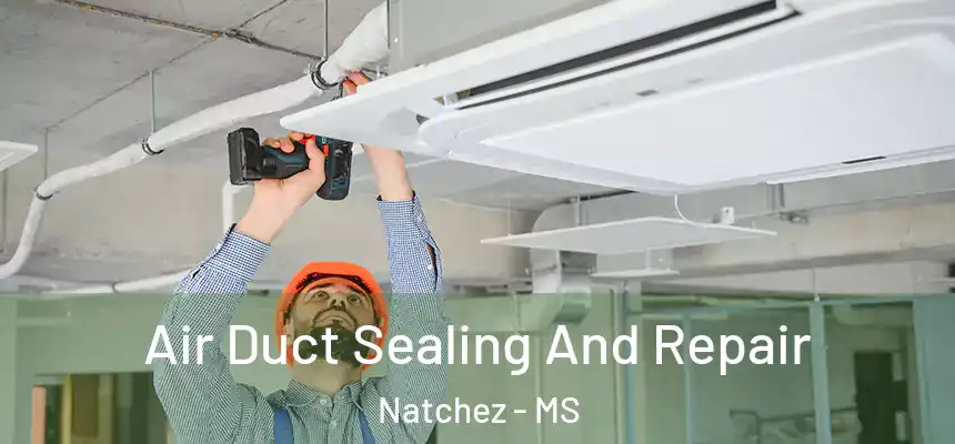  Air Duct Sealing And Repair Natchez - MS