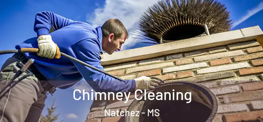  Chimney Cleaning Natchez - MS