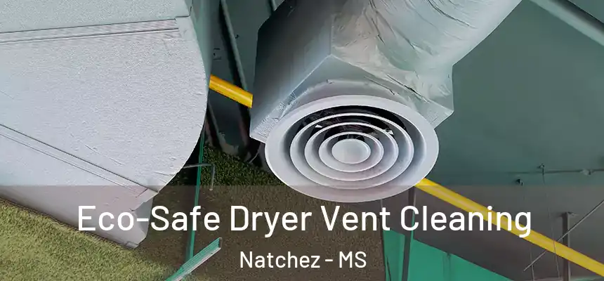  Eco-Safe Dryer Vent Cleaning Natchez - MS
