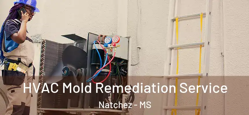  HVAC Mold Remediation Service Natchez - MS