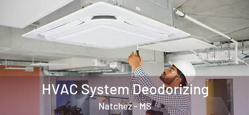  HVAC System Deodorizing Natchez - MS