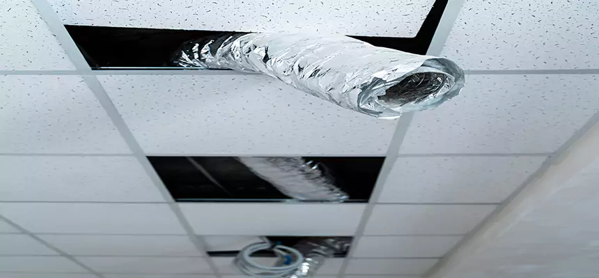 Affordable HVAC Sanitizing After Pest Removal in Natchez