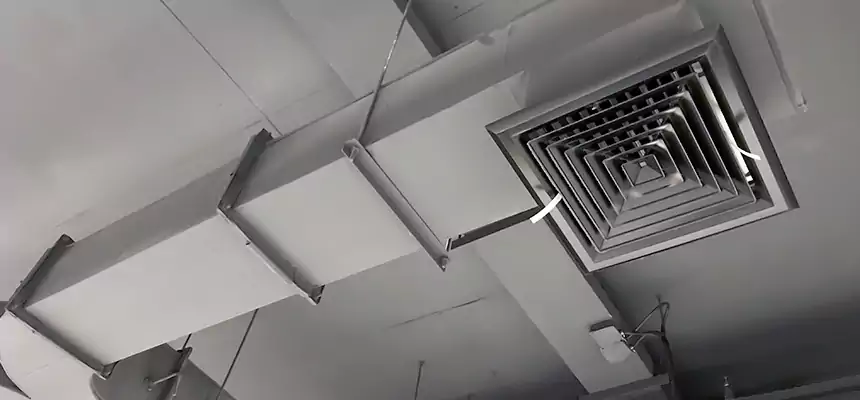 Restorative Allergy Relief Vent Cleaning – Coil, Blower & Housing Detail in Natchez