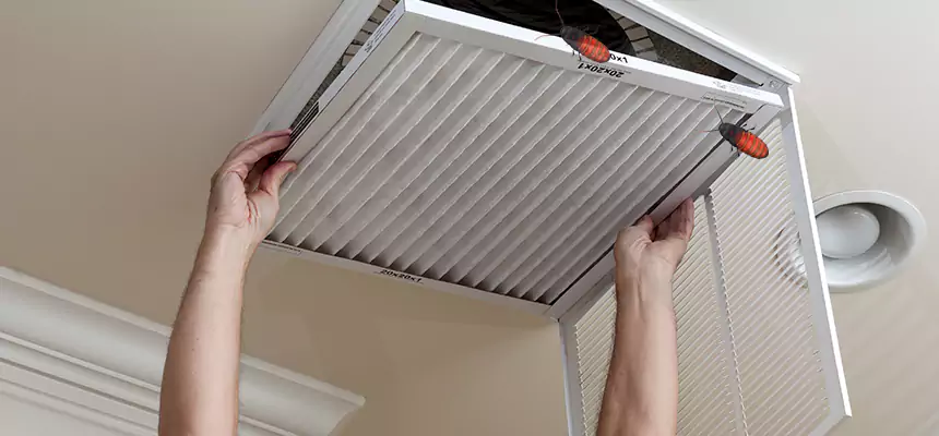 Our Insect Removal from Air Ducts Services in Natchez, MS