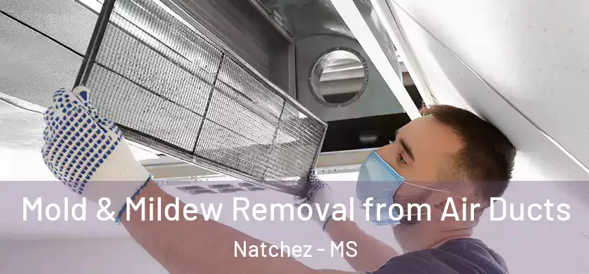  Mold & Mildew Removal from Air Ducts Natchez - MS