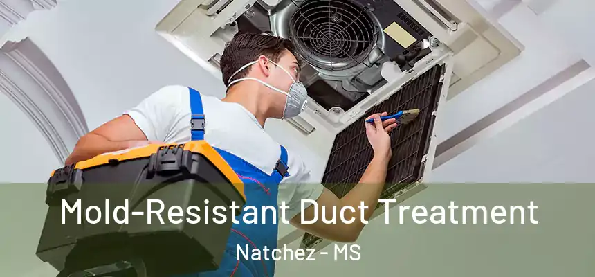  Mold-Resistant Duct Treatment Natchez - MS