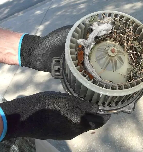 About Air Duct Mice Removal in Natchez, MS