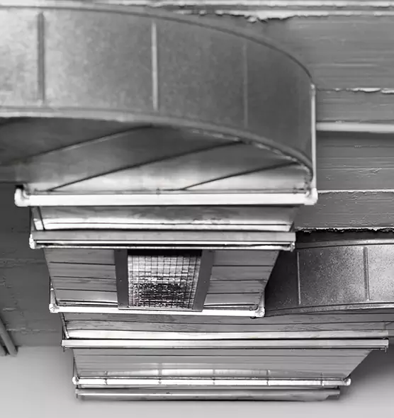 Professional Air Duct Pest Removal in Natchez, MS