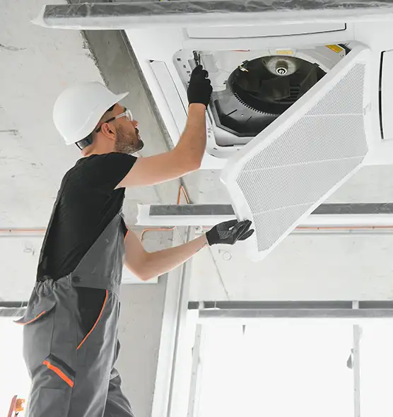 About Air Duct Rodent Removal in Natchez, MS