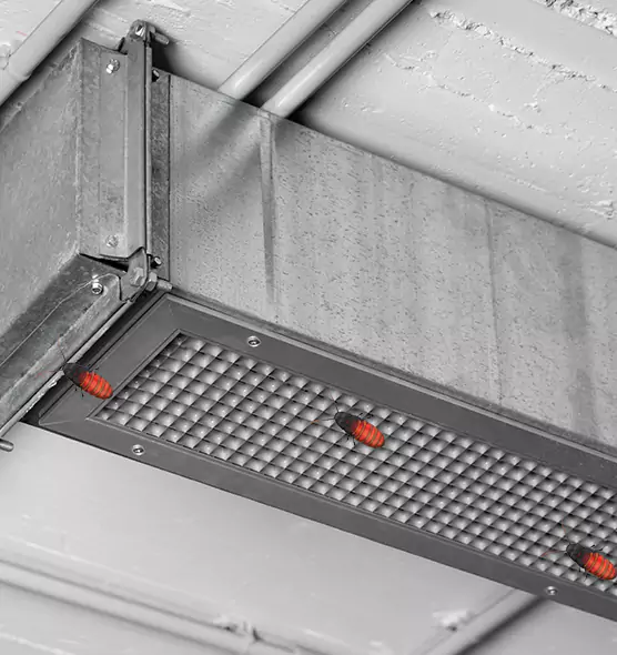 Affordable Insect Removal from Air Ducts in Natchez, MS