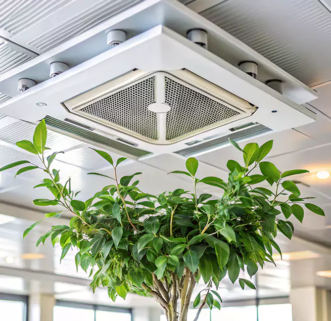 Why Homeowners & Businesses Trust Us in Natchez, MS?